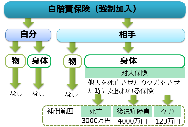 自賠責保険とは