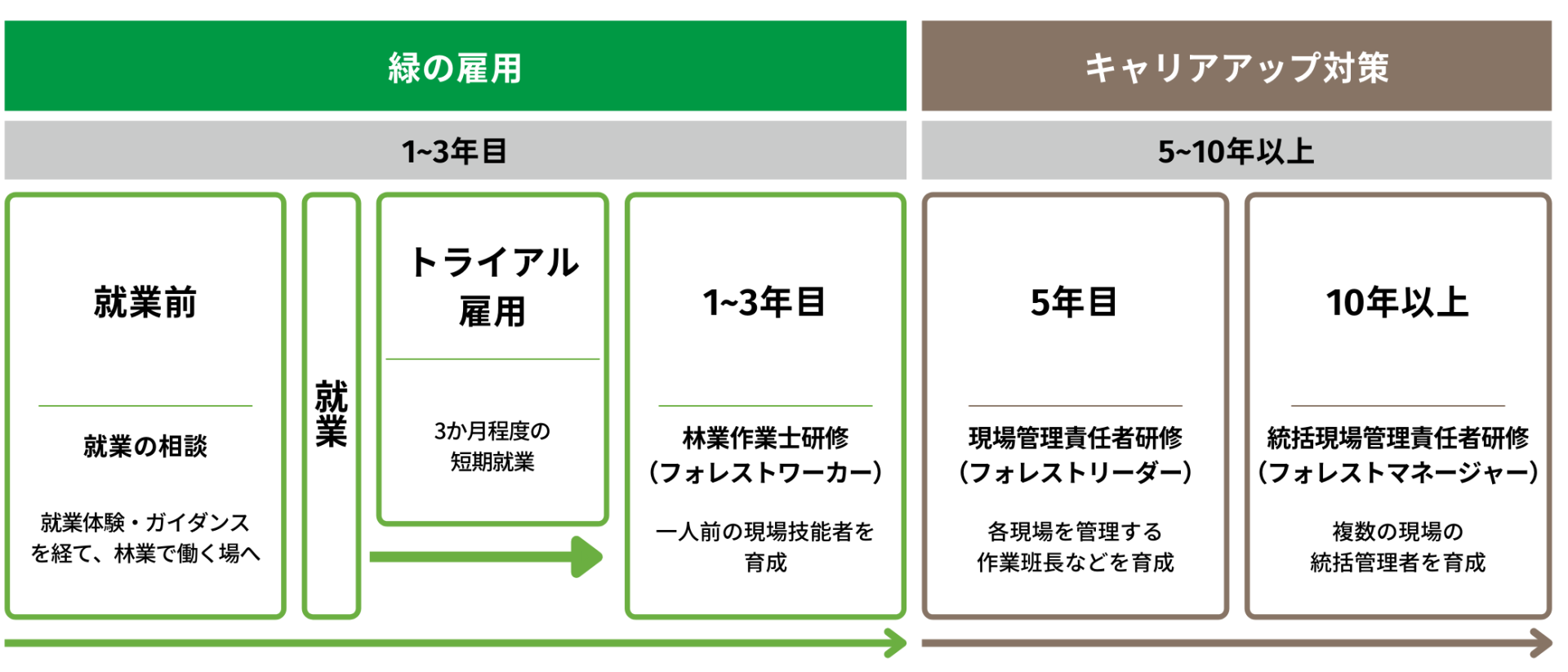 緑の雇用